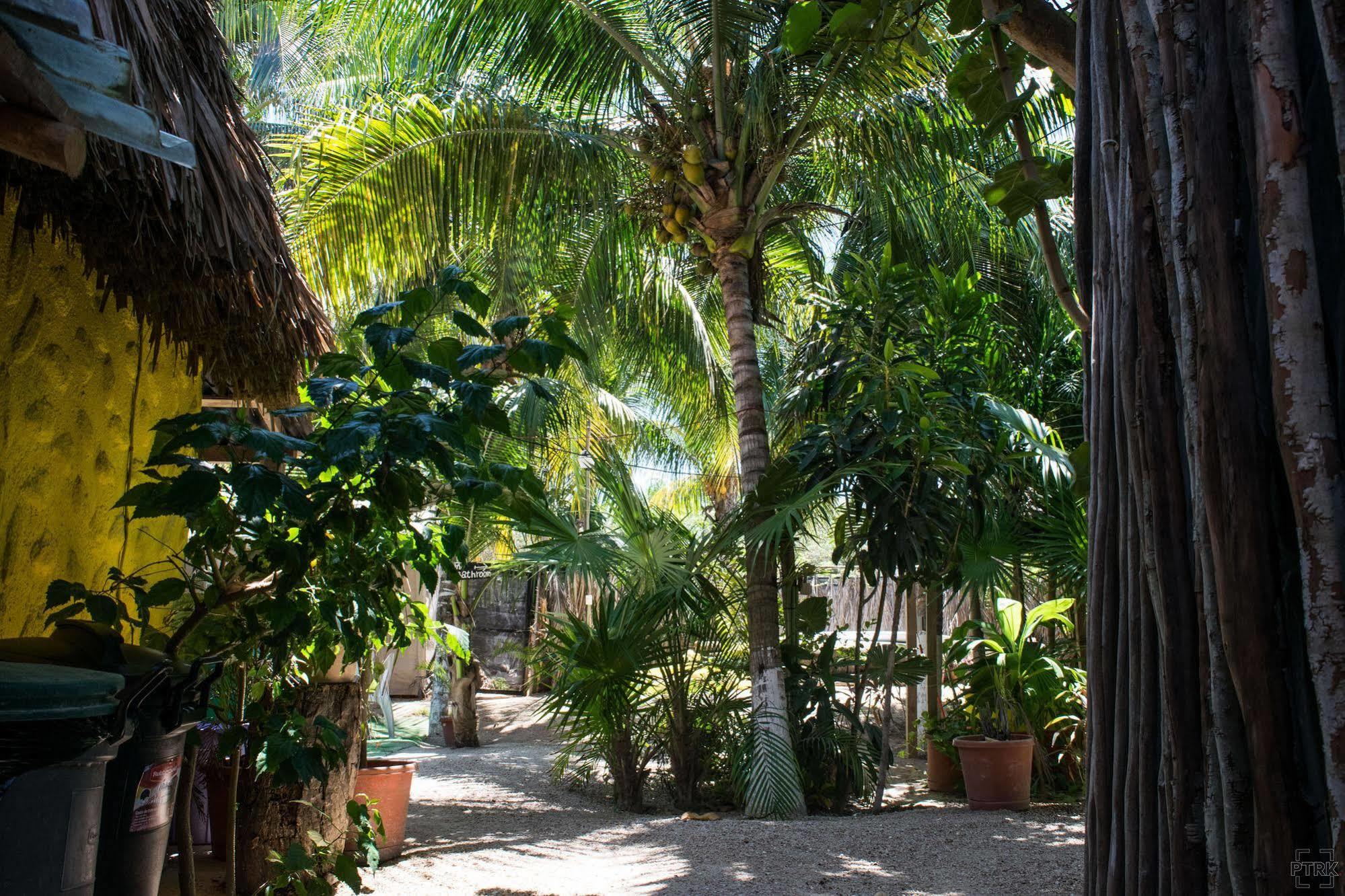 卡萨玛雅德何塞利马酒店 Isla Holbox 外观 照片