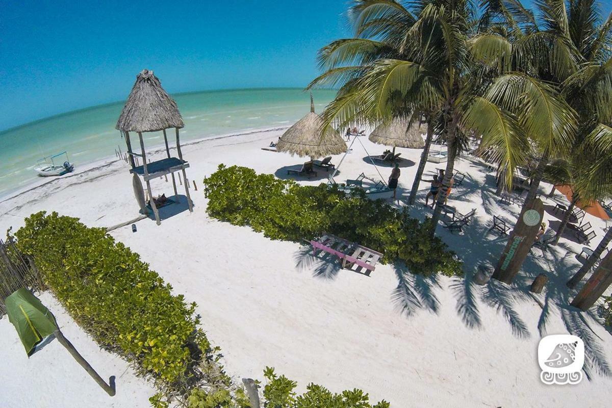 卡萨玛雅德何塞利马酒店 Isla Holbox 外观 照片